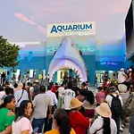 Planta Baja Completa A 2 Cuadras Acuario Veracruz