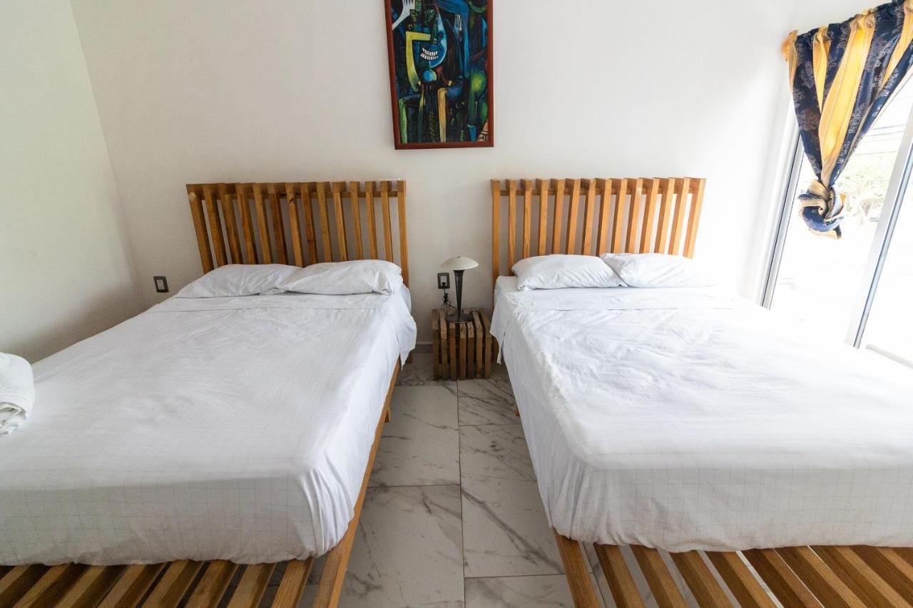 Hostal Endemic Veracruz
