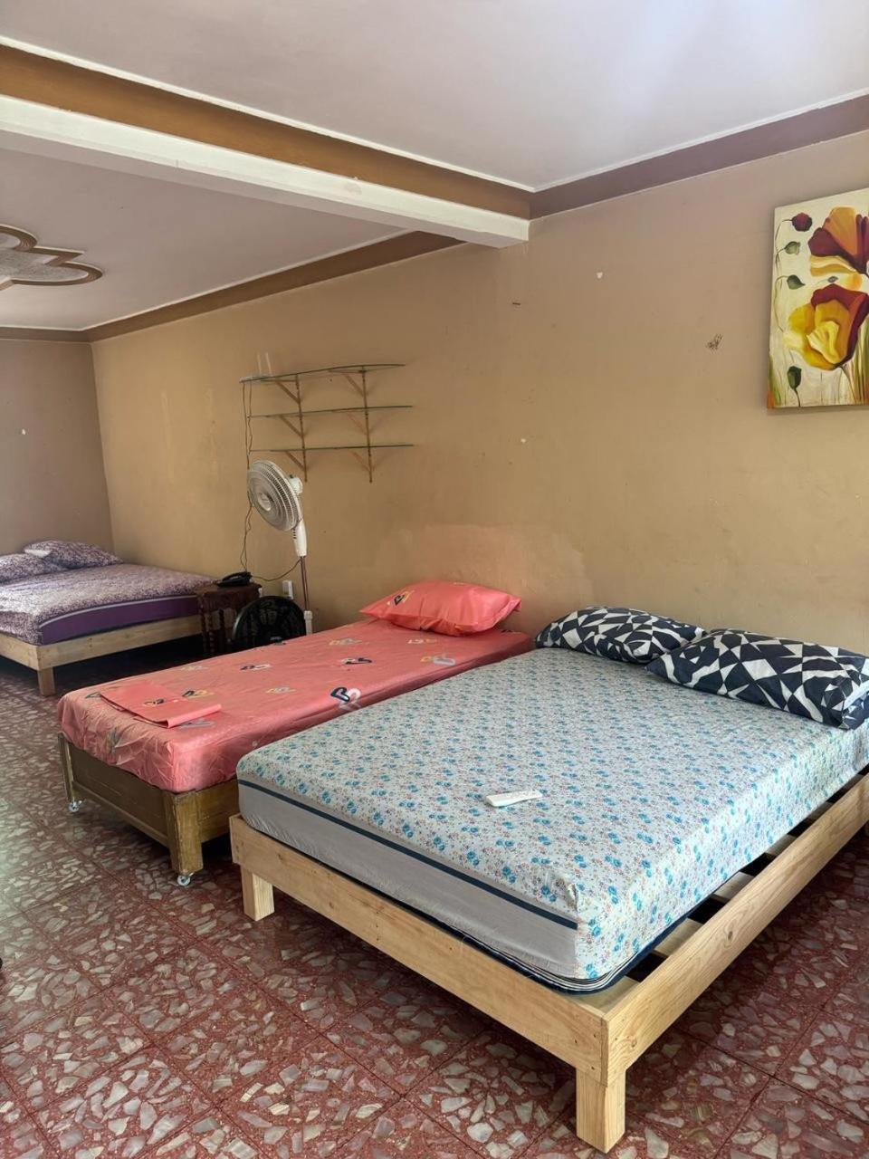 Planta Baja Completa A 2 Cuadras Acuario Apartamento *