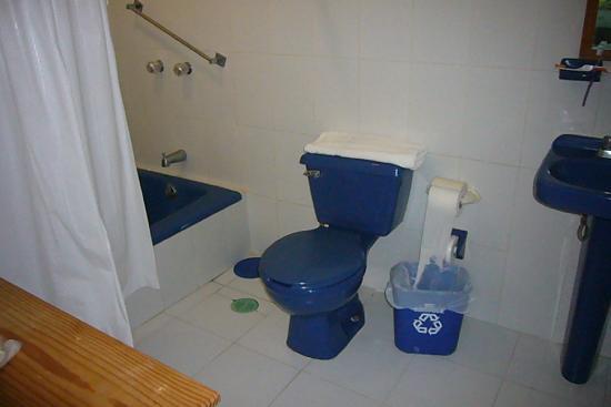 Hotel Palmira &