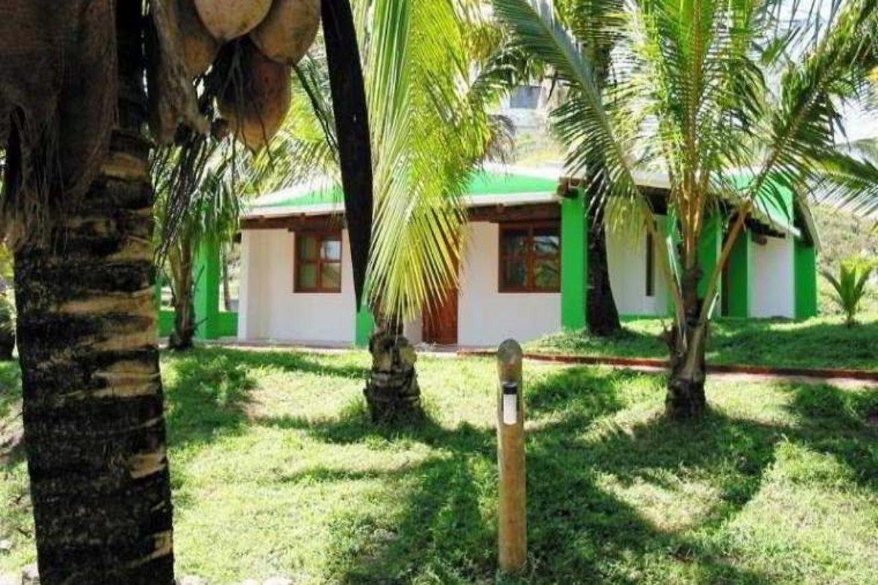 Hotel Palmira & 3*