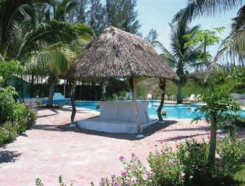 Hotel Palmira & 3*