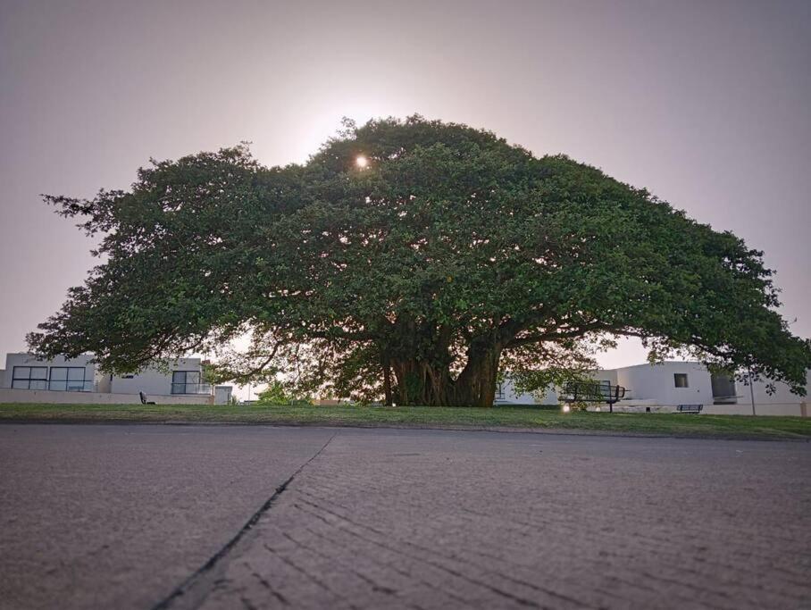 Hermosa Residencia Junto Al Mar Veracruz
